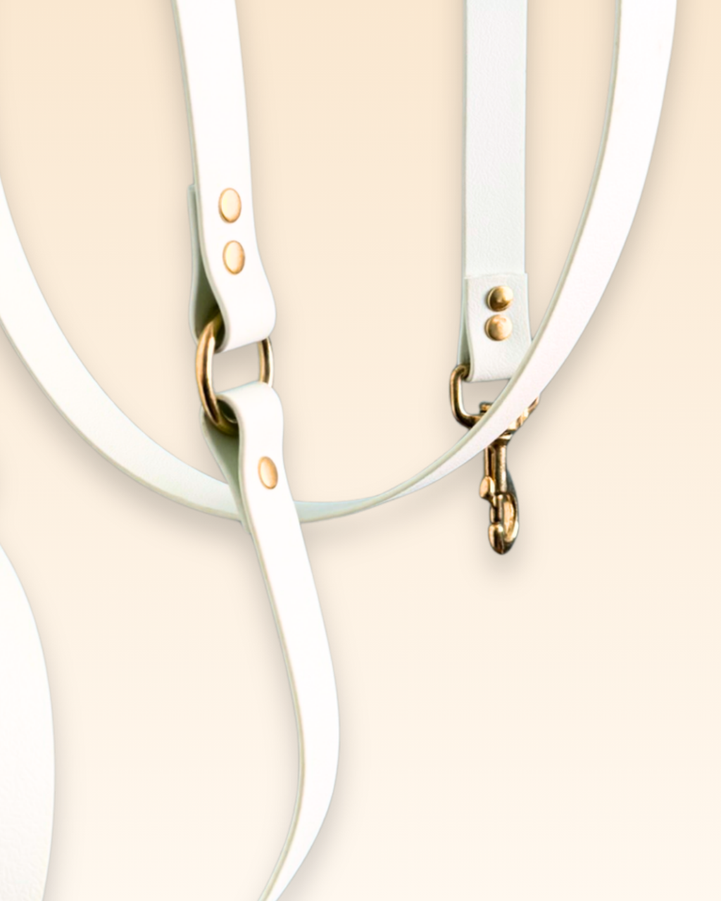 Laisse multi-positions Verveine