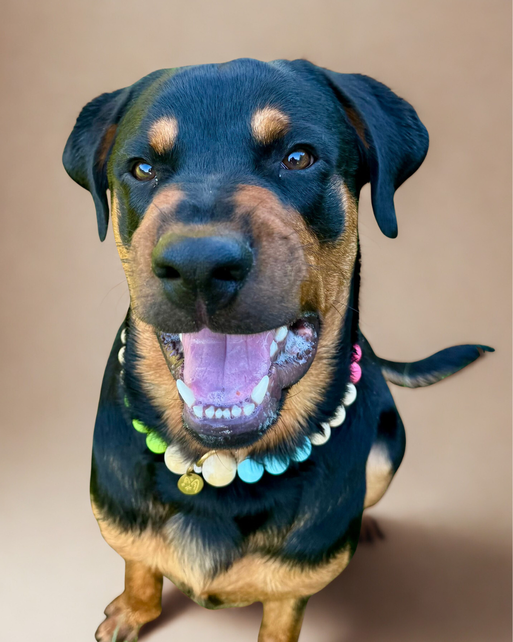 Porte-médaille Houblon