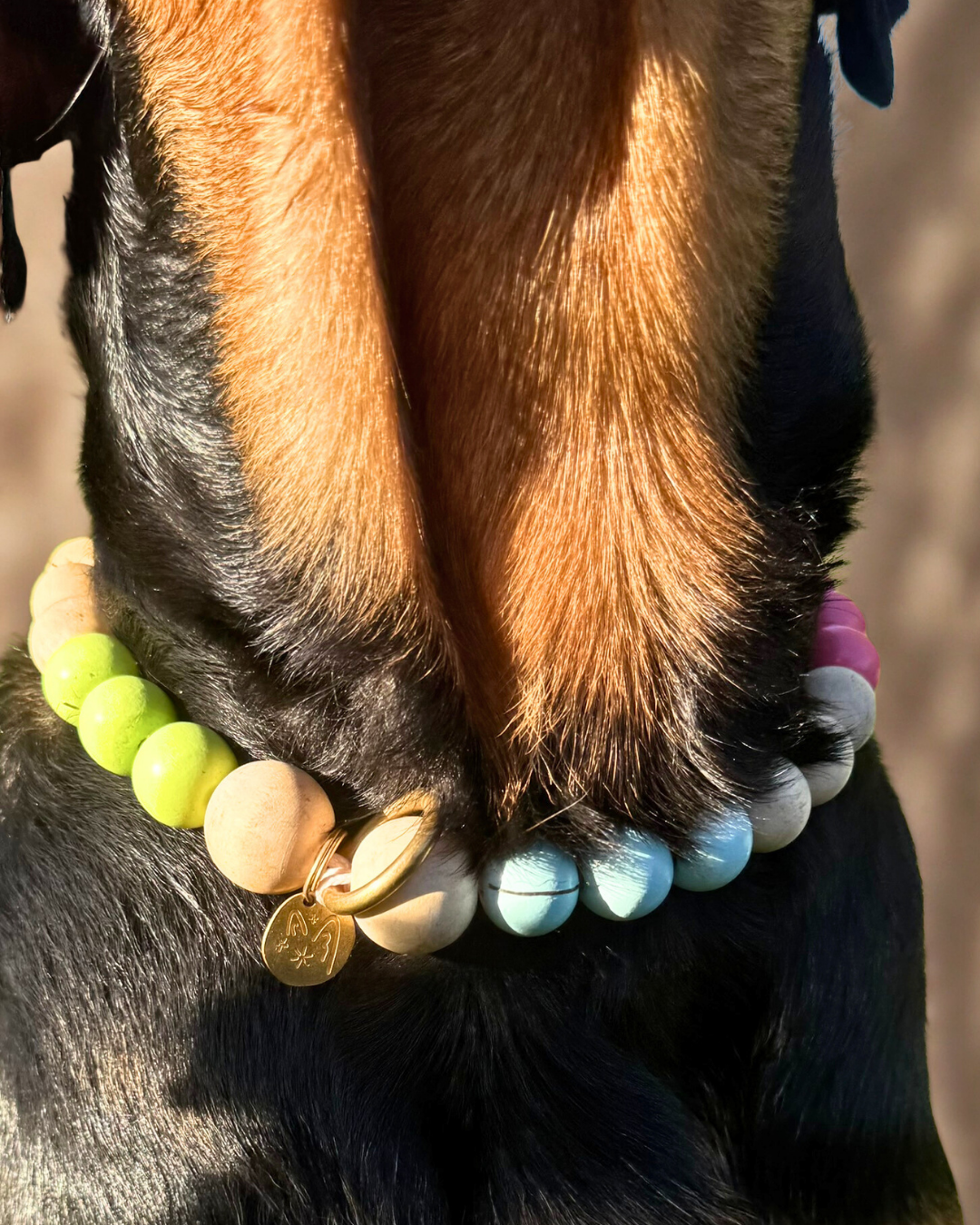 Porte-médaille Glaïeul