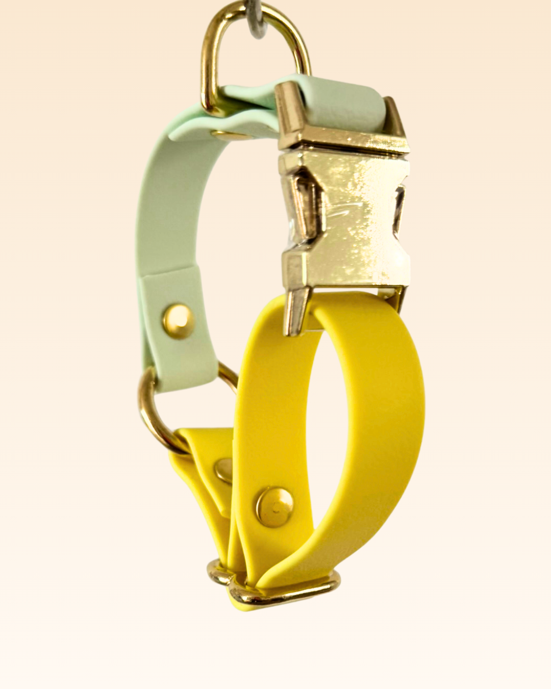 Collier Arc-en-ciel