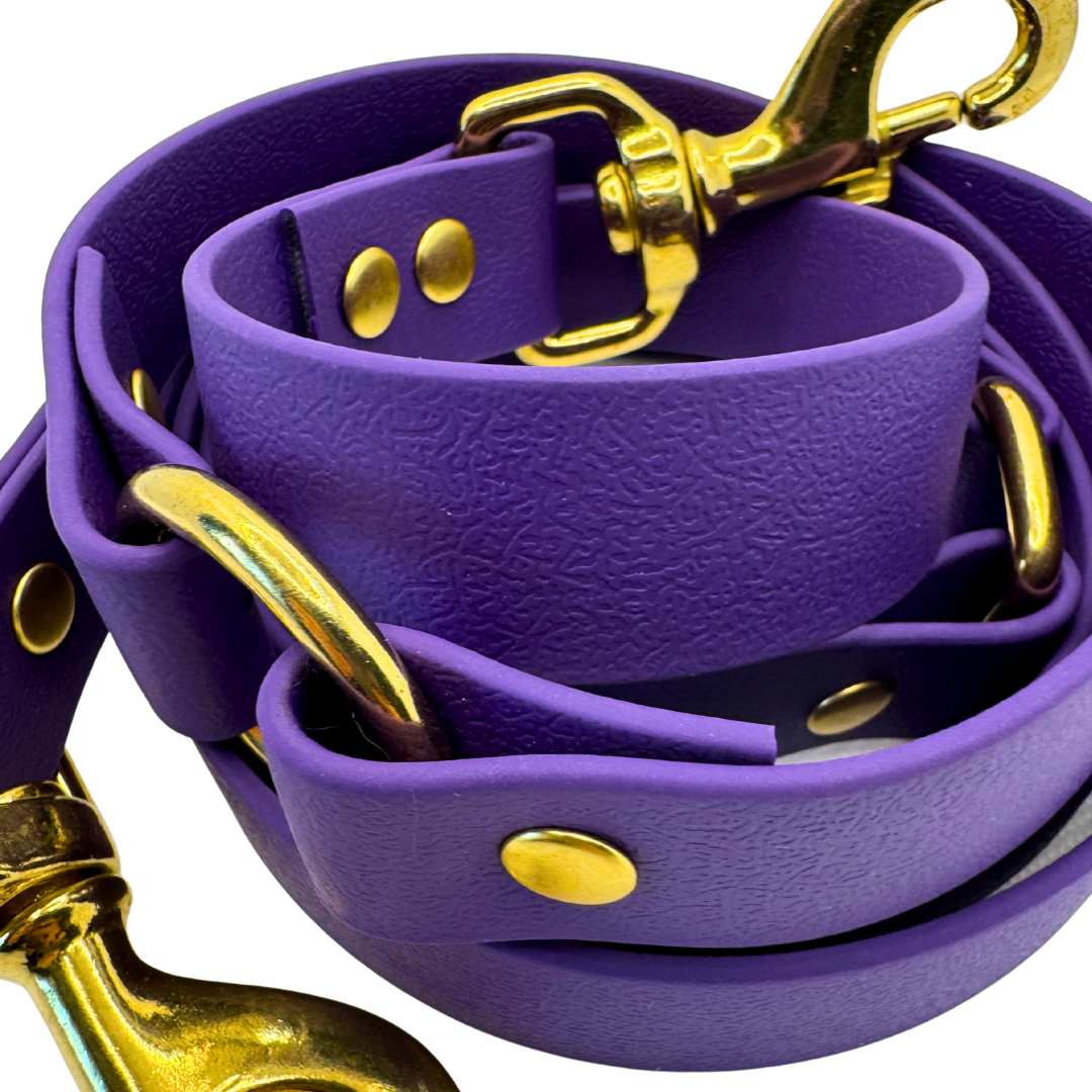 Laisse multi-positions Violette