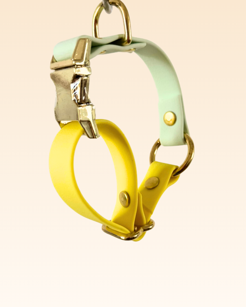 Collier Arc-en-ciel