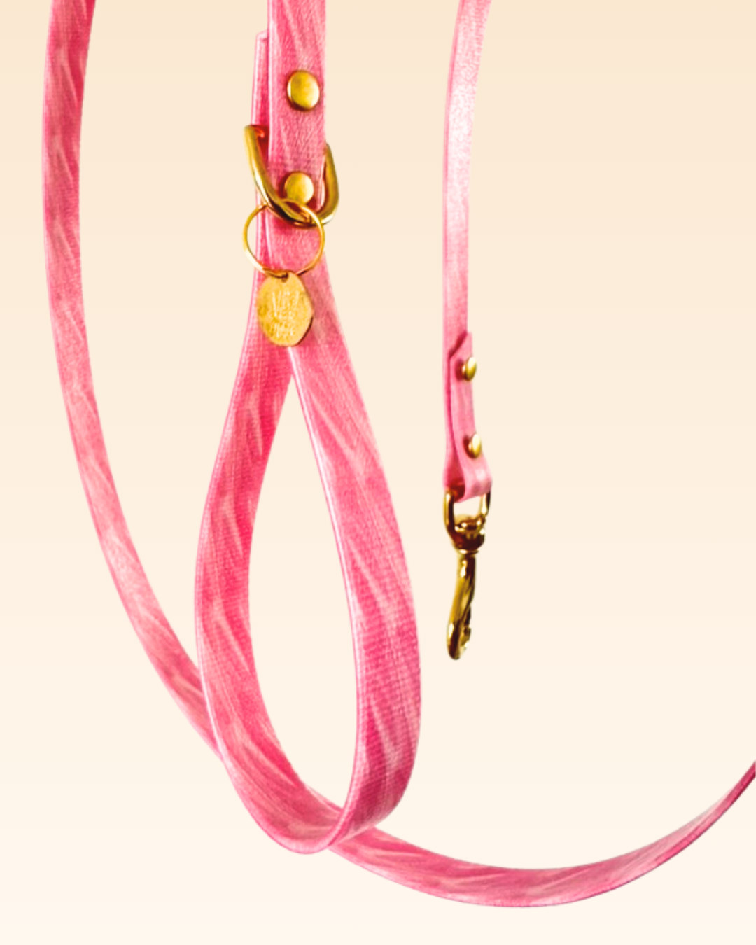 Laisse Corail