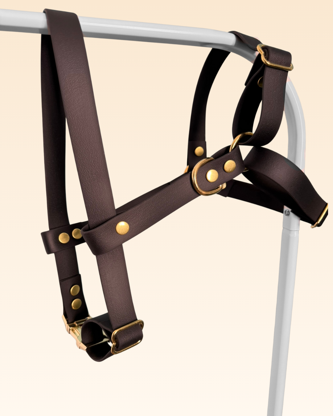 Harnais en Y Pensée