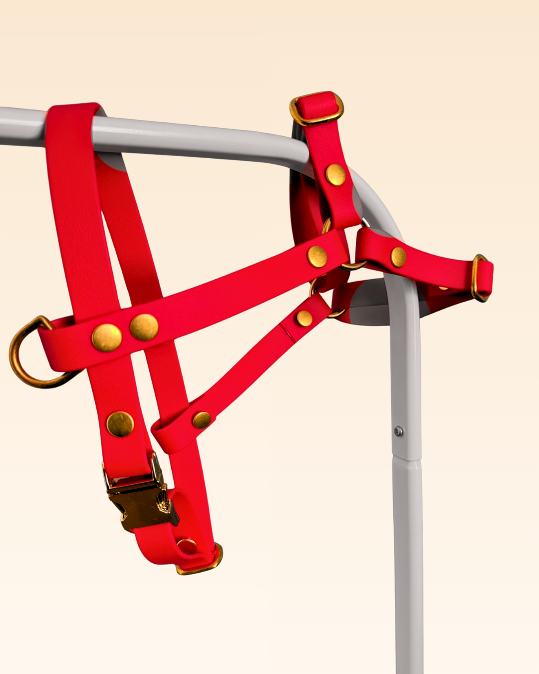 Harnais en Y Camélia