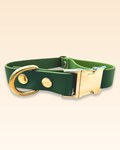 Collier Olive