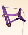 Violet Y-Harness