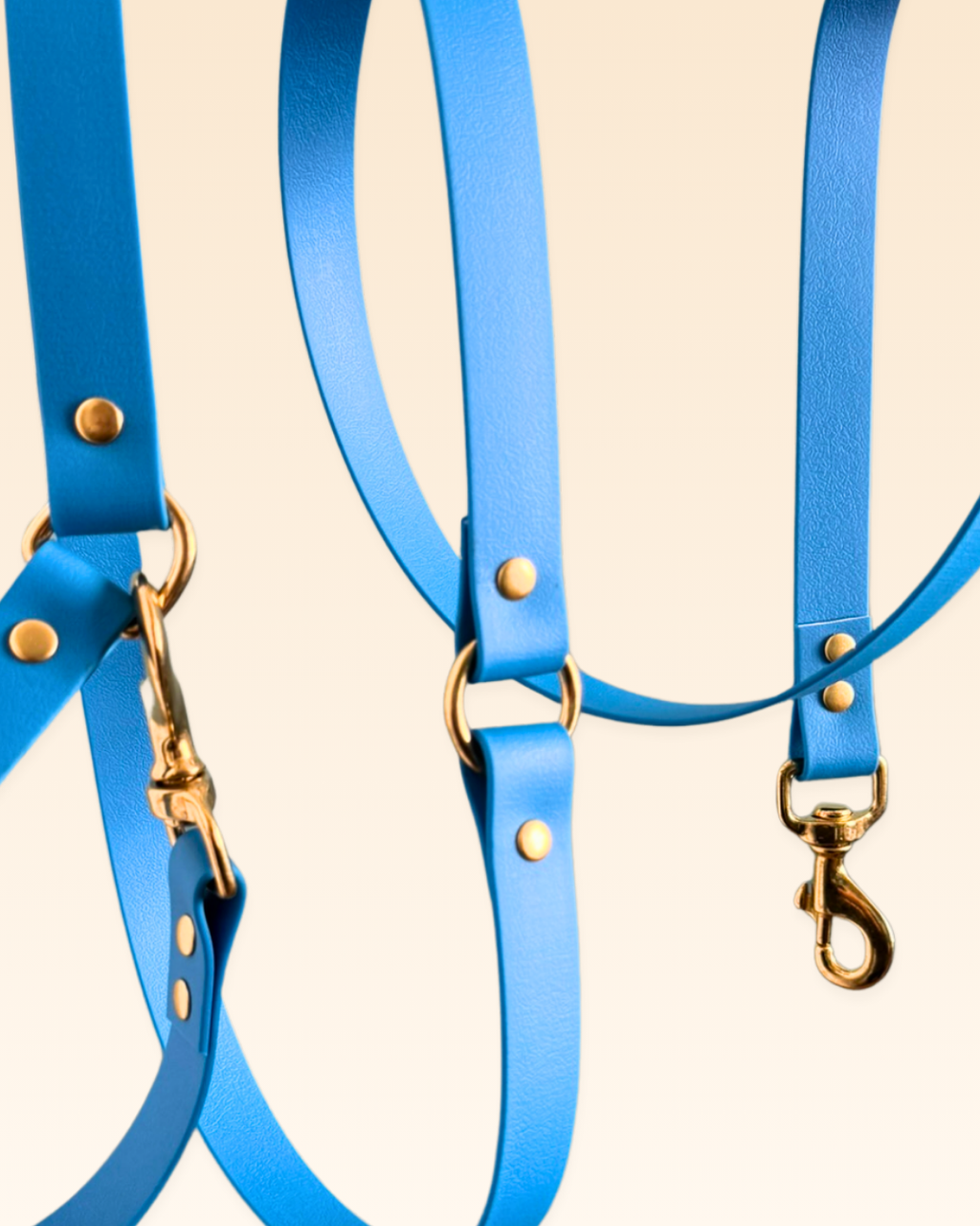 Laisse multi-positions Hortensia