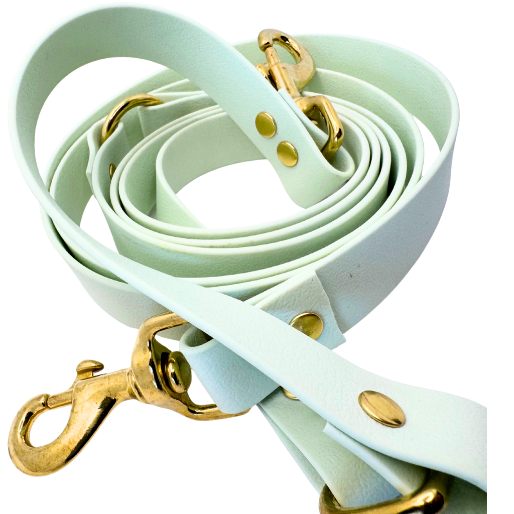 Laisse multi-positions Verveine