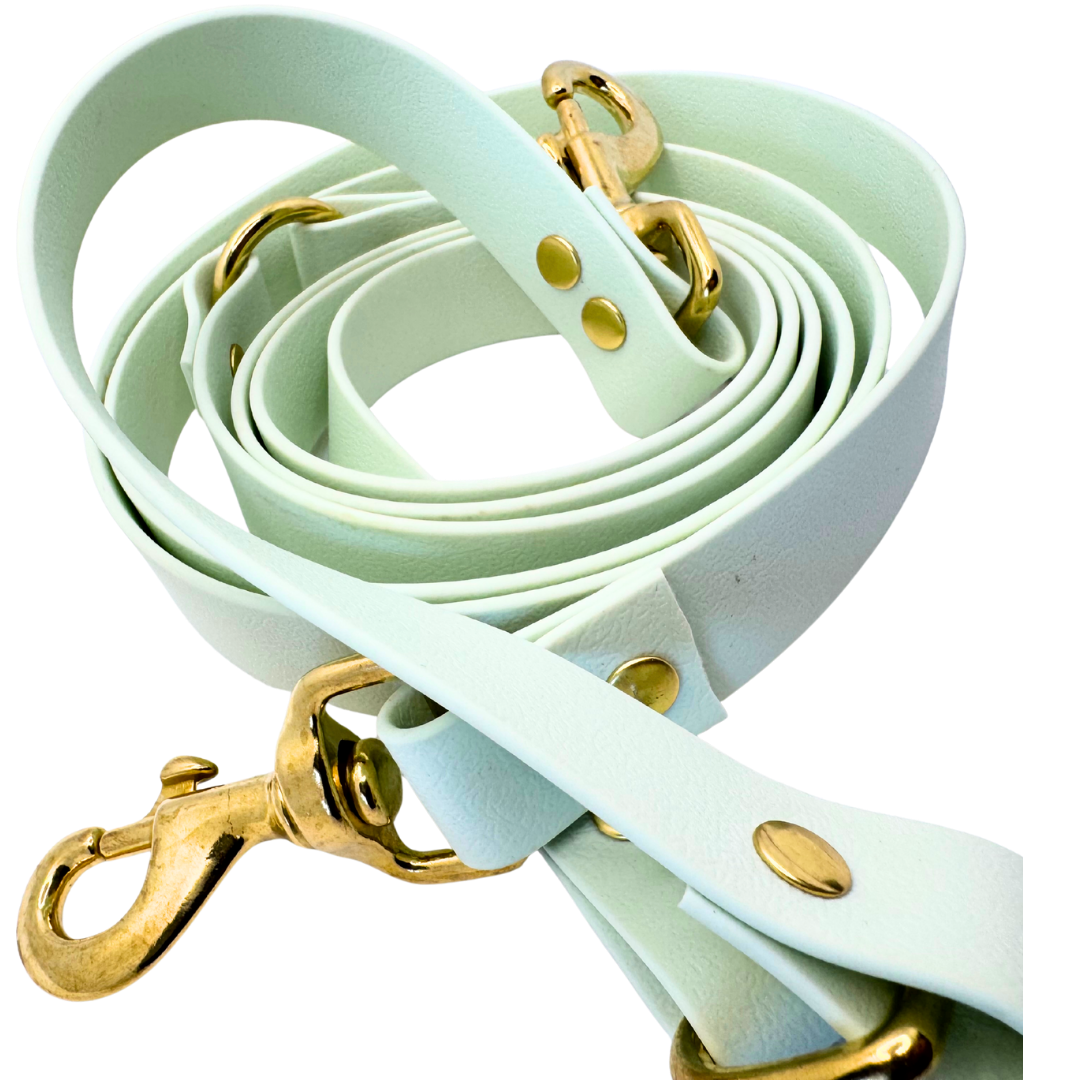 Laisse multi-positions Verveine