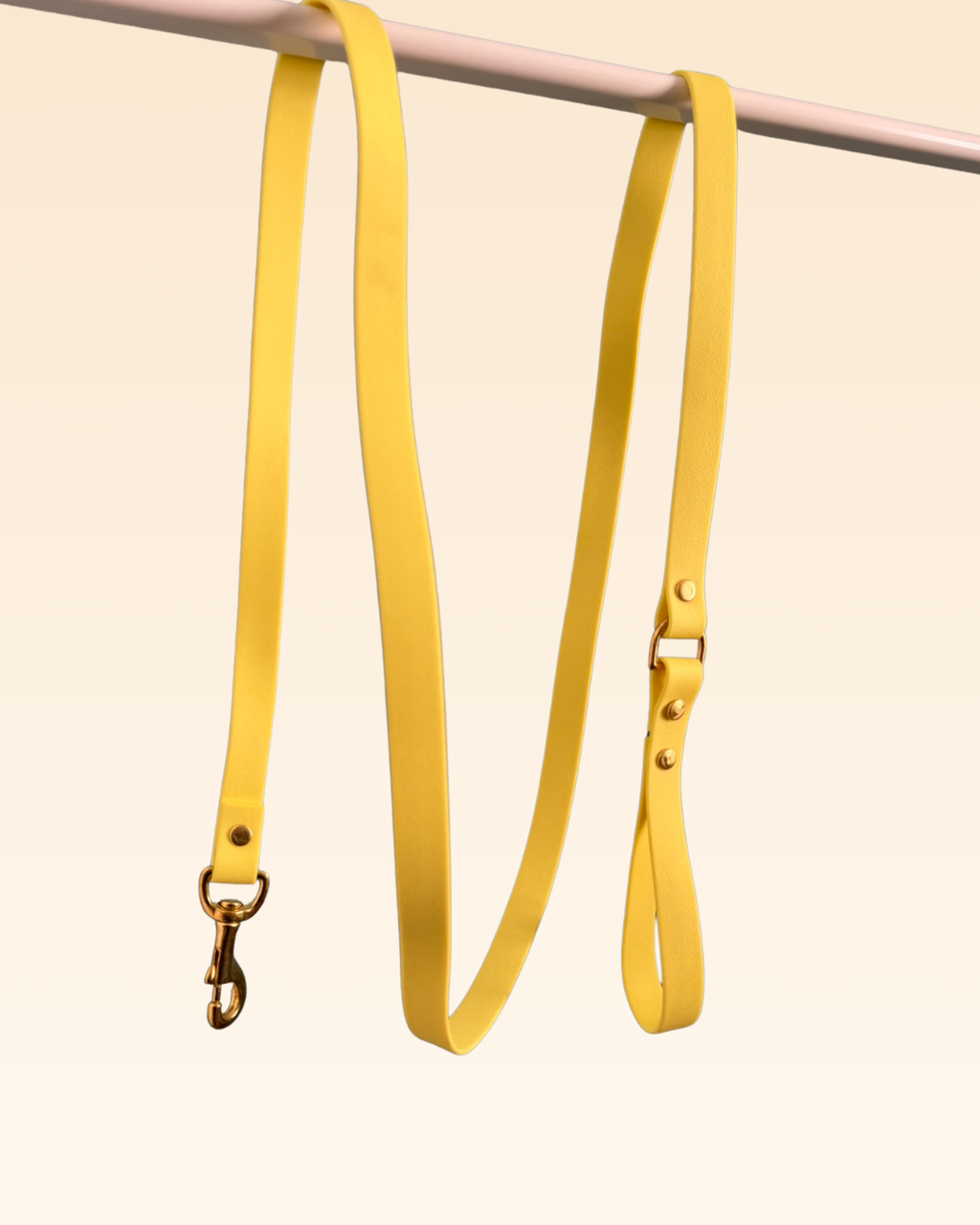 Laisse classique Mimosa