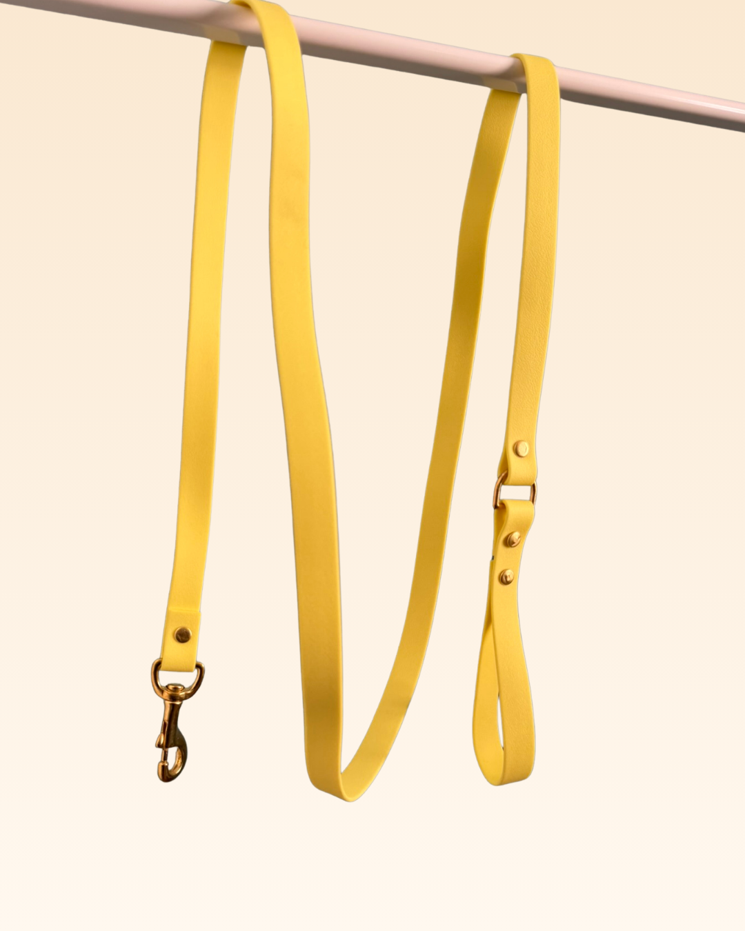 Laisse classique Mimosa