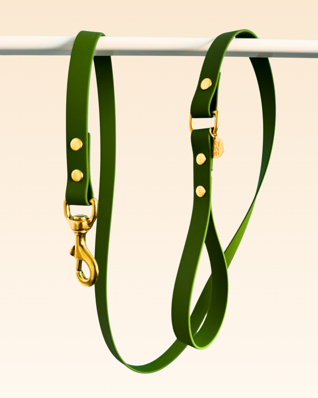 Laisse classique Olive