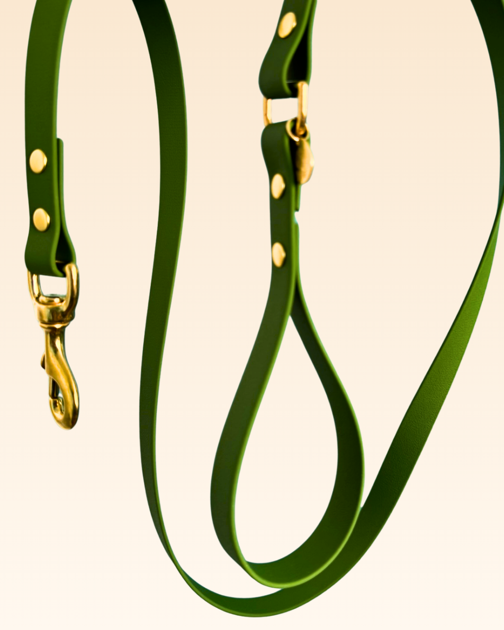 Laisse classique Olive