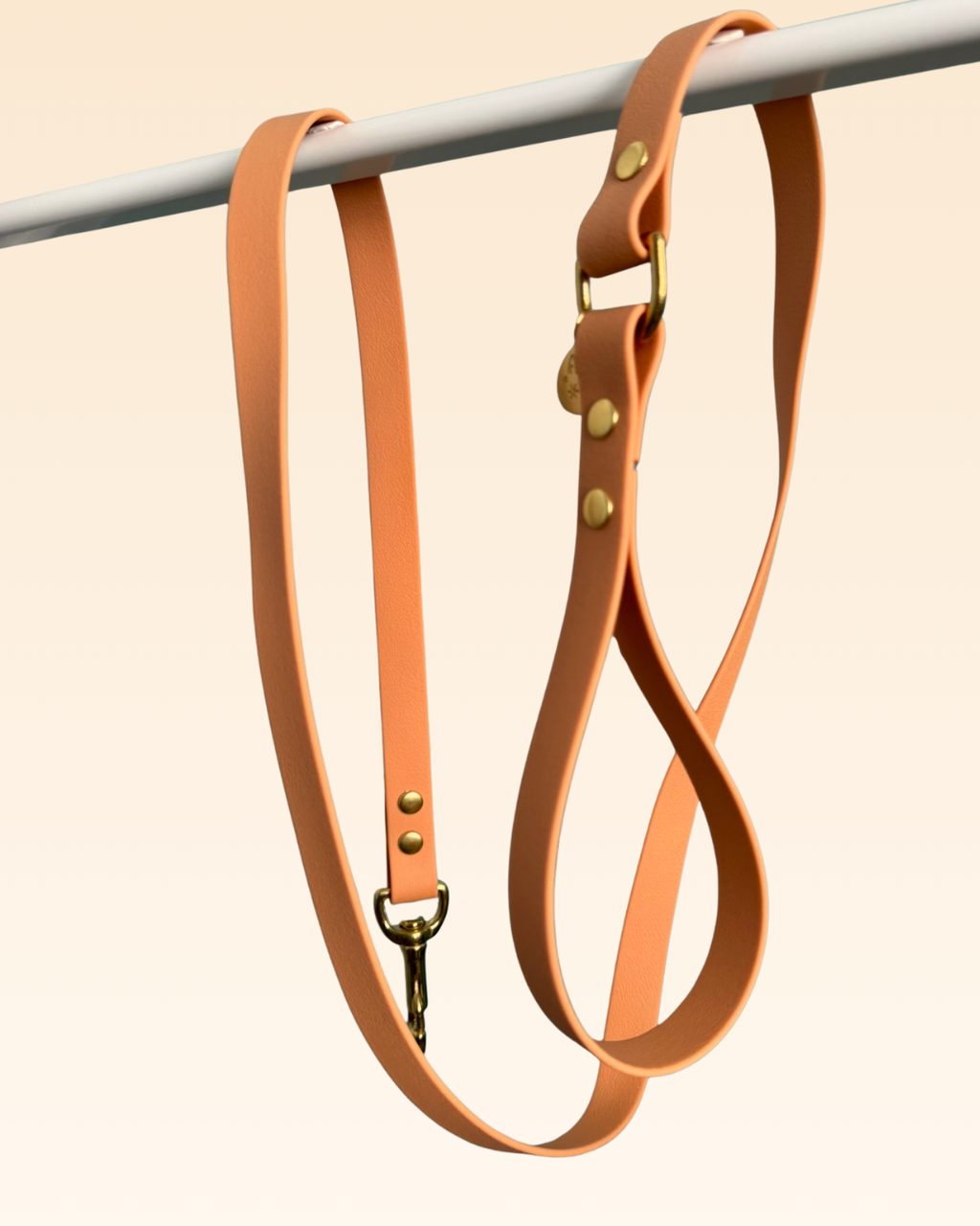 Laisse classique Dahlia