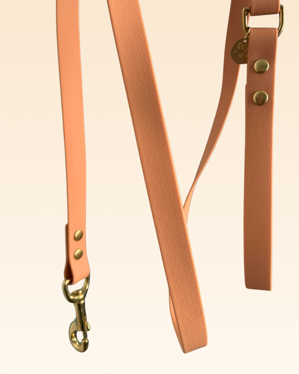 Laisse classique Dahlia