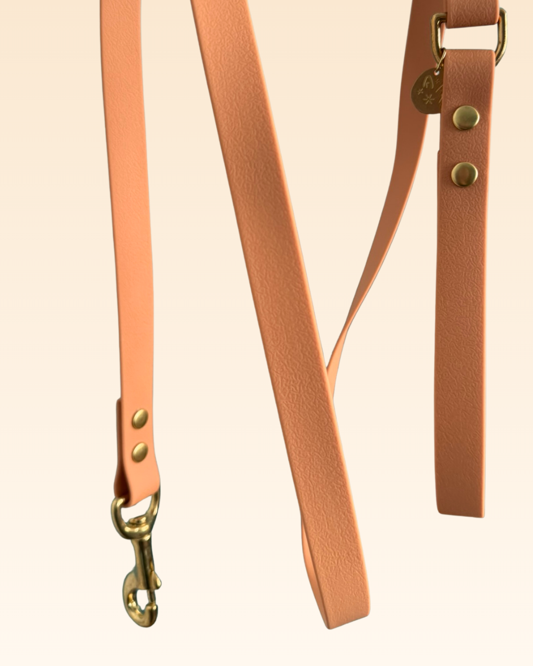 Laisse classique Dahlia