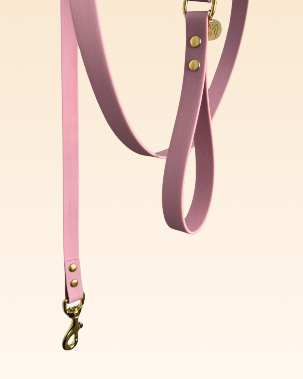 Laisse classique Orchidée