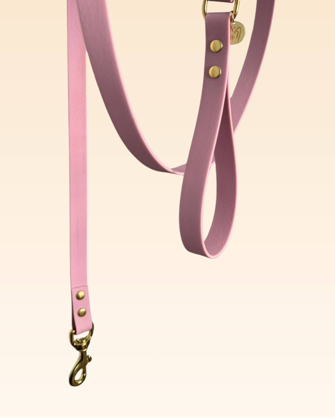 Laisse classique Orchidée