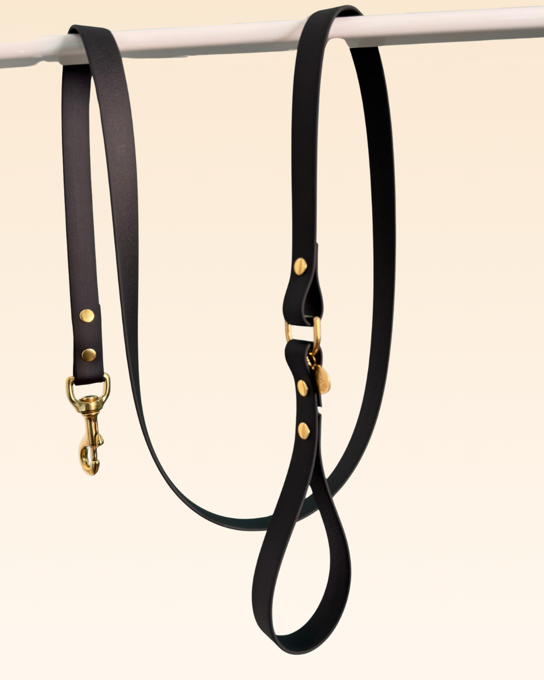 Laisse classique Pensée