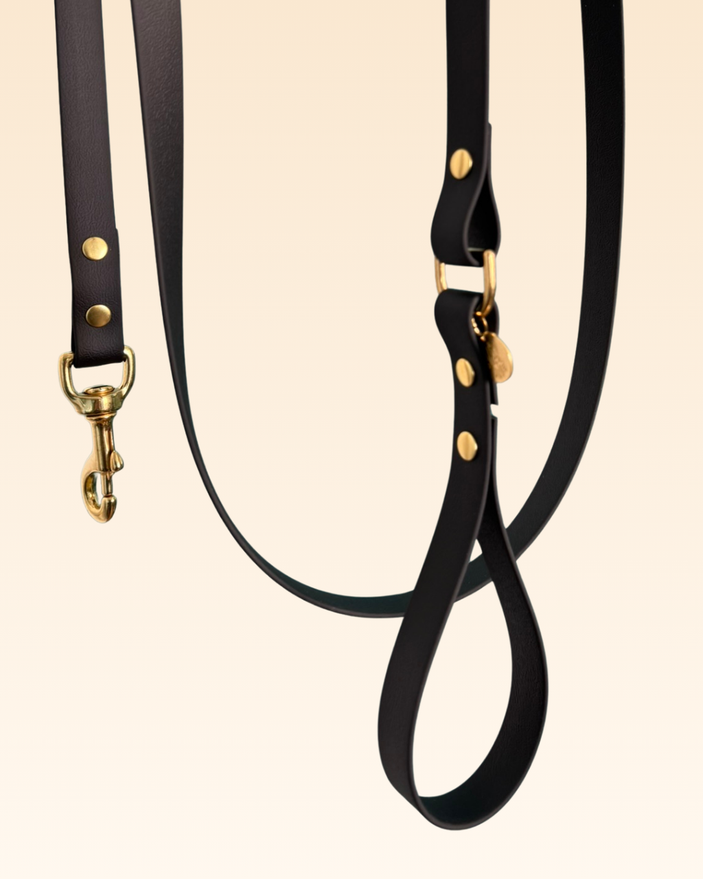 Laisse classique Pensée