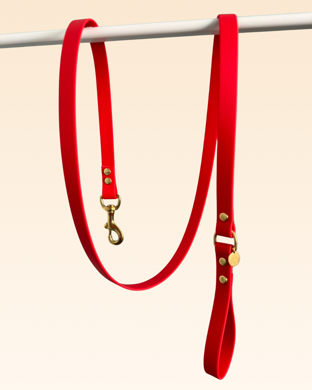 Laisse classique Camélia