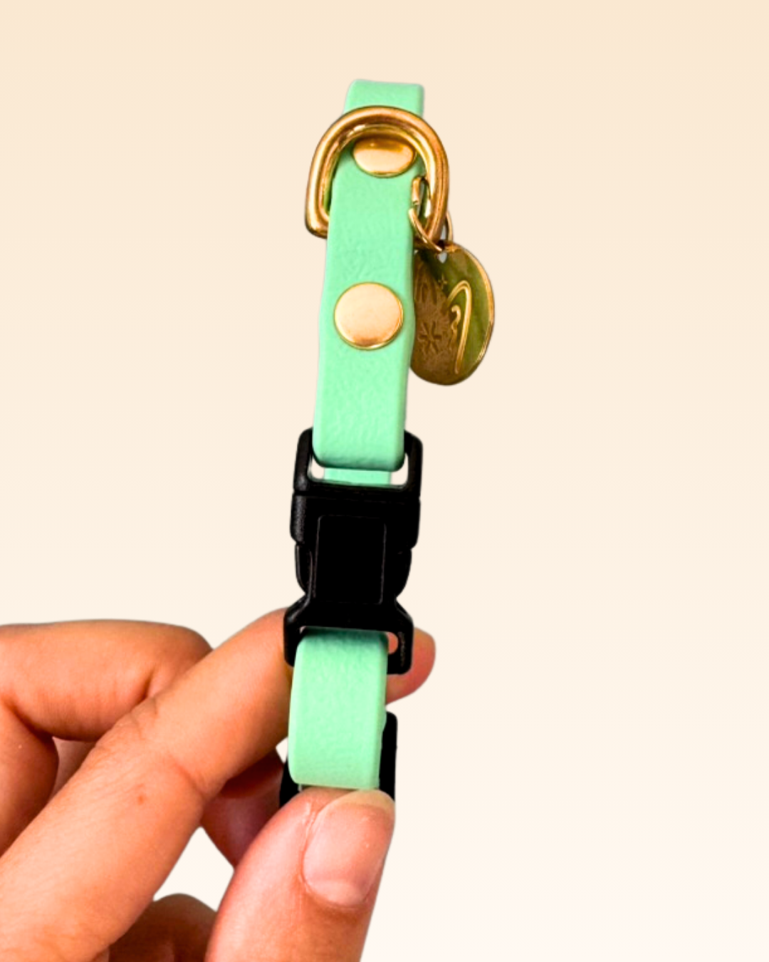 Collier chat Agapanthe