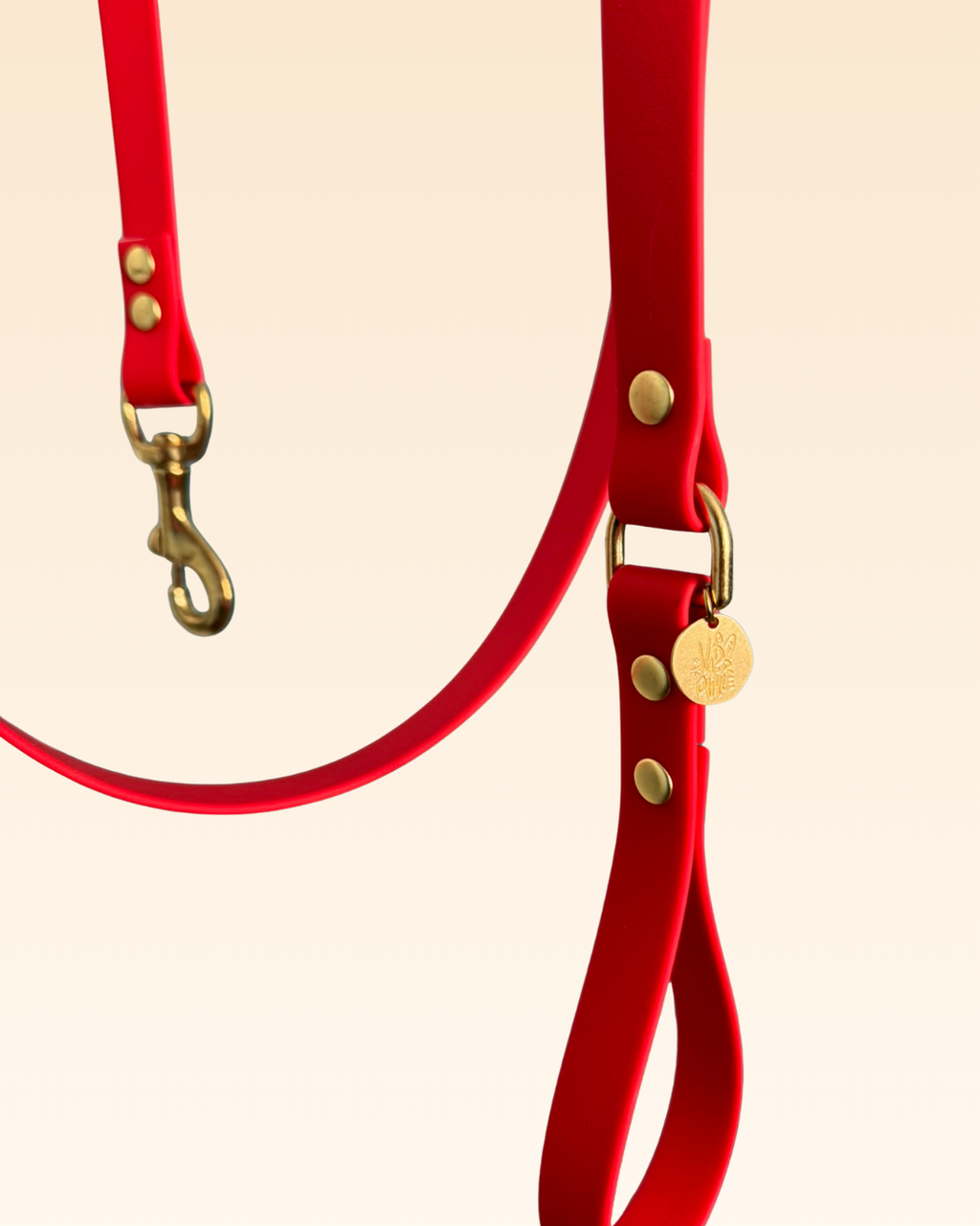 Laisse classique Camélia