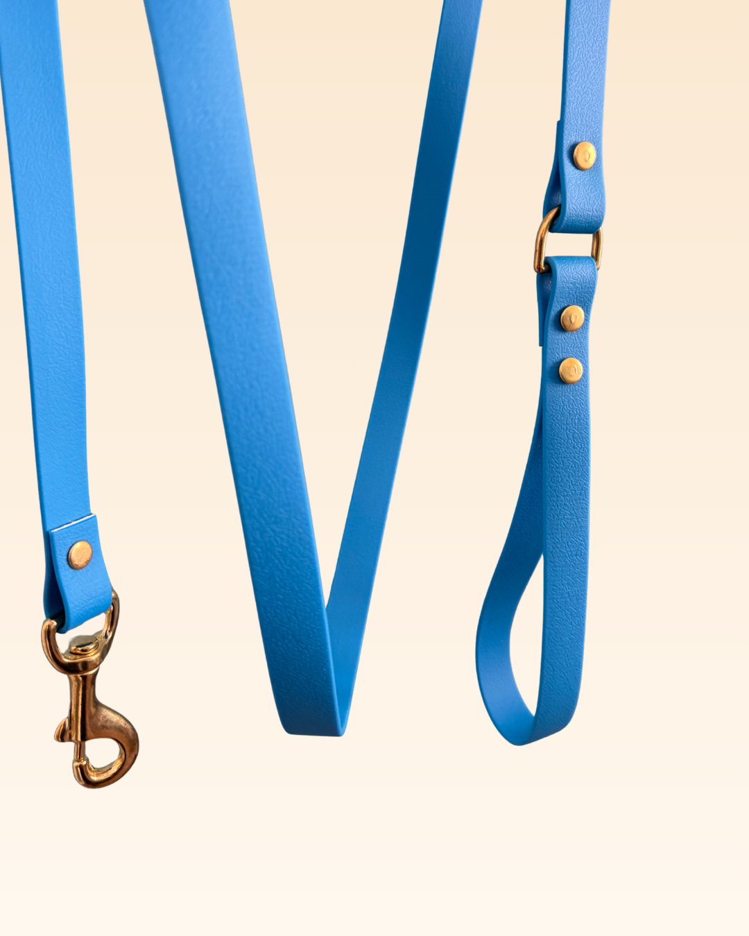 Laisse classique Hortensia