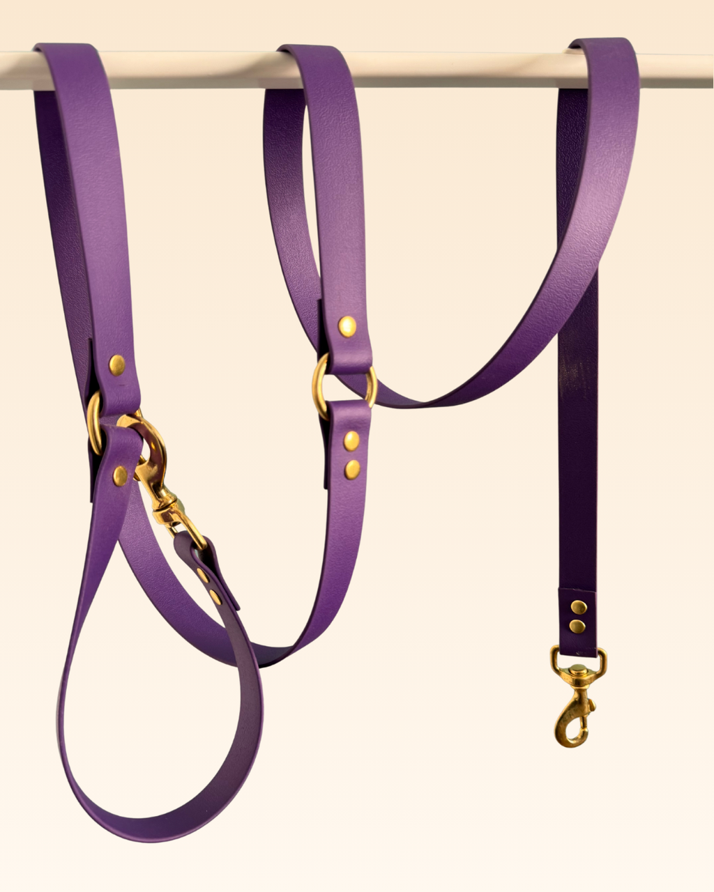 Laisse multi-positions Violette