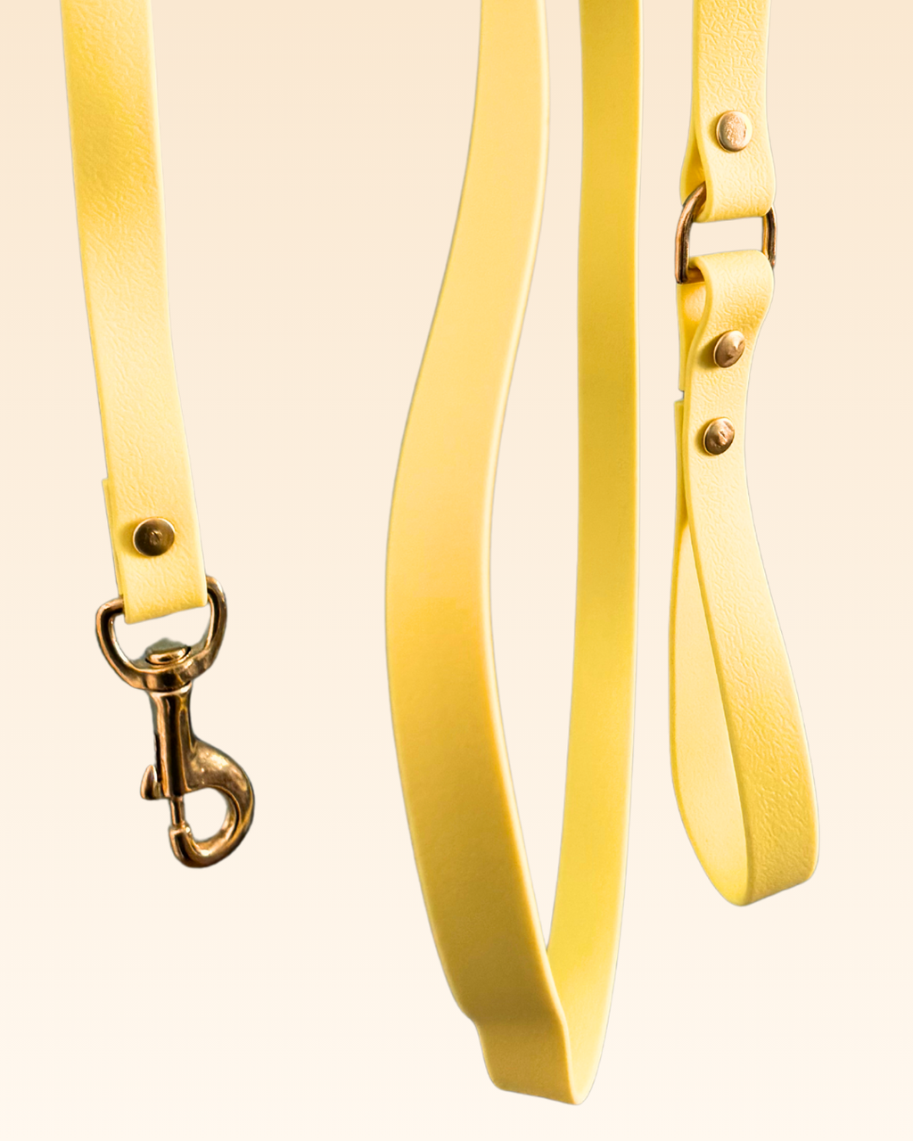 Laisse classique Mimosa