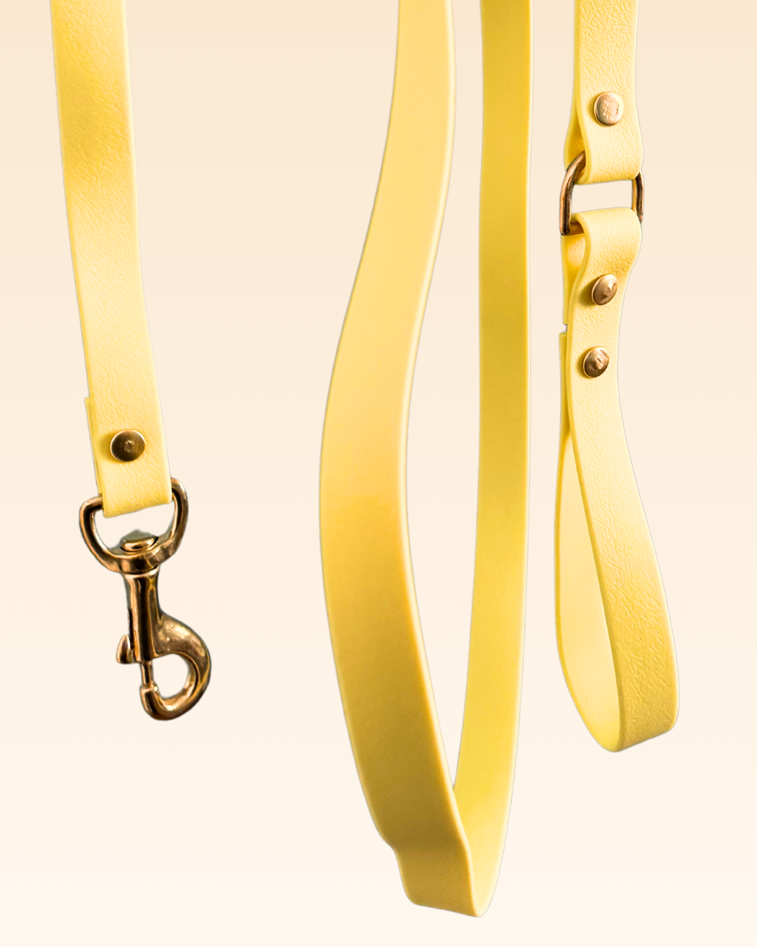 Laisse classique Mimosa