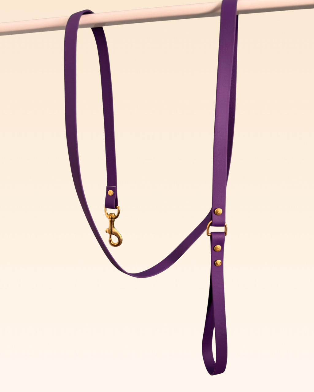 Laisse classique Violette