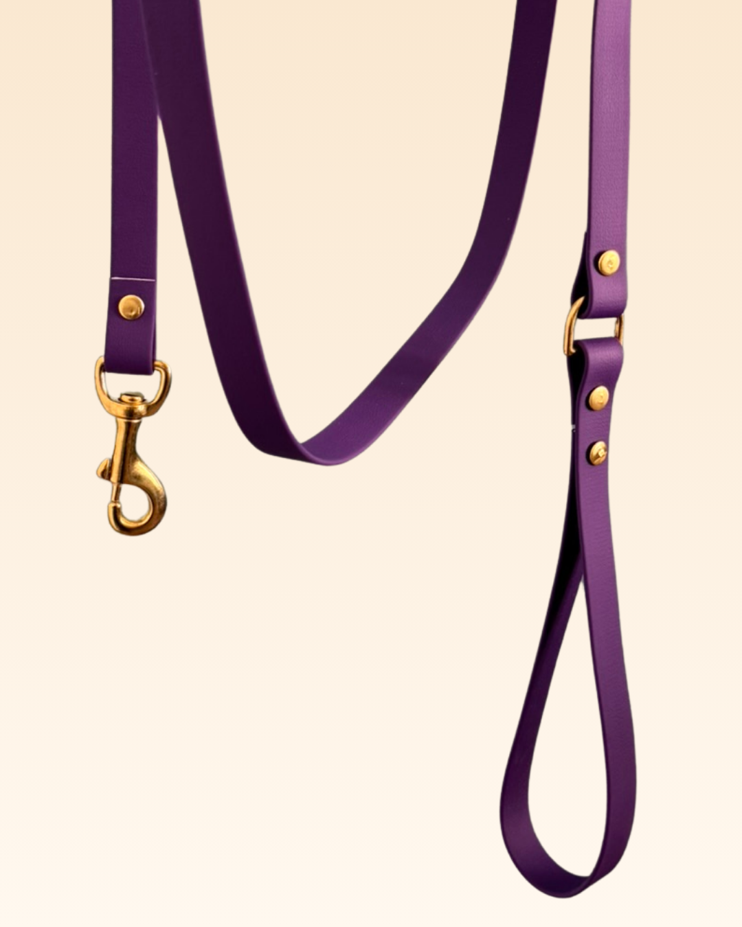 Laisse classique Violette