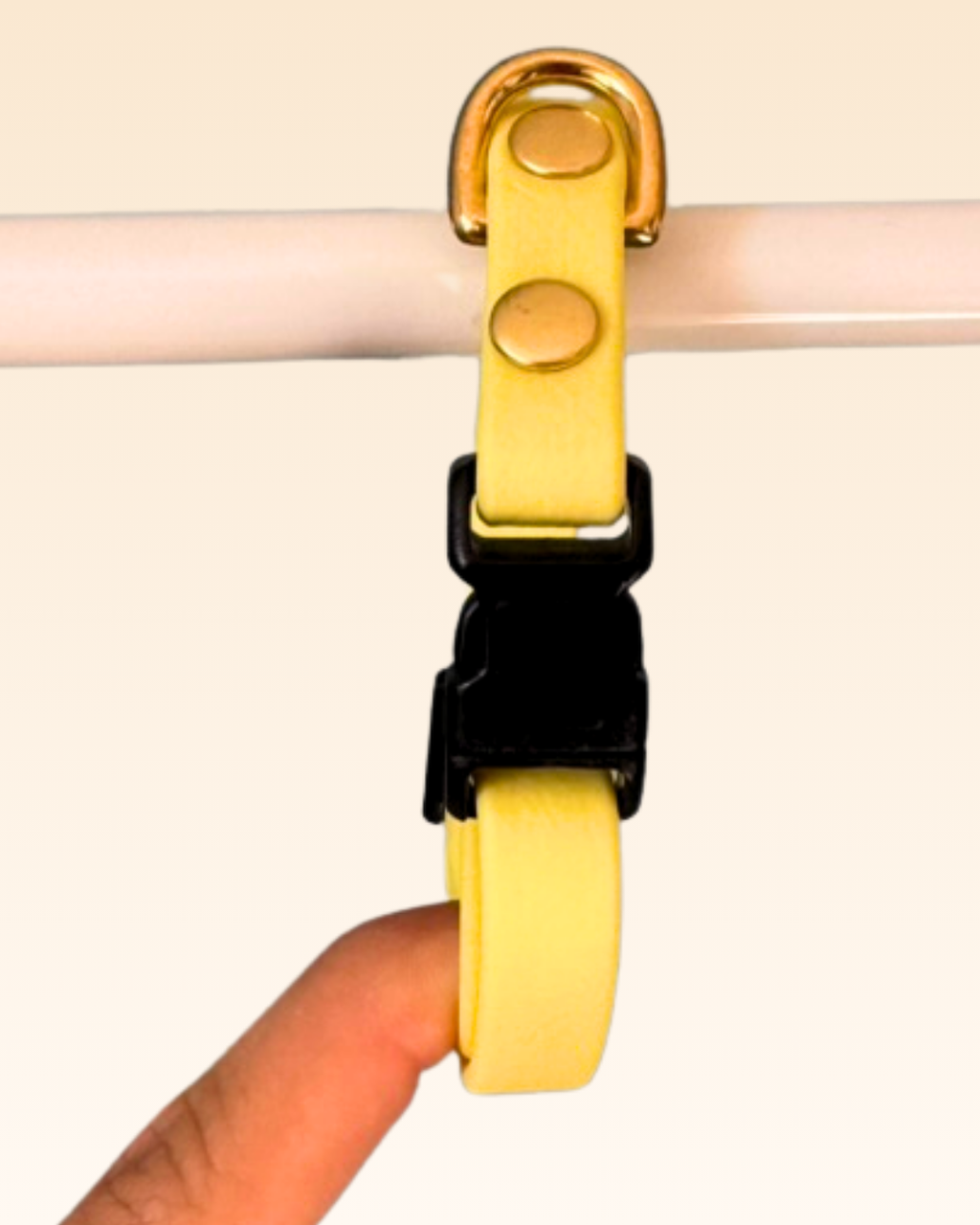 Collier chat Mimosa