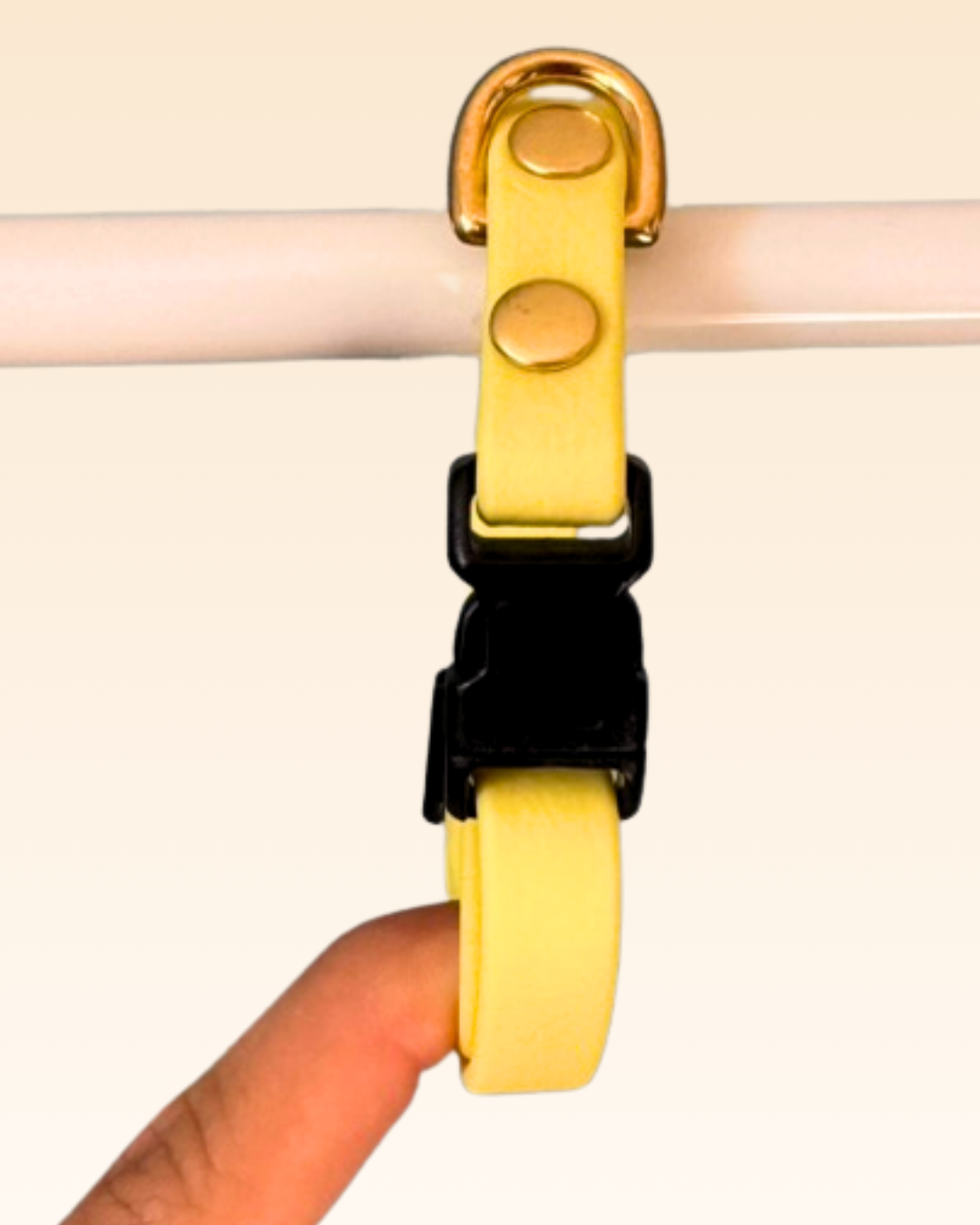 Collier chat Mimosa