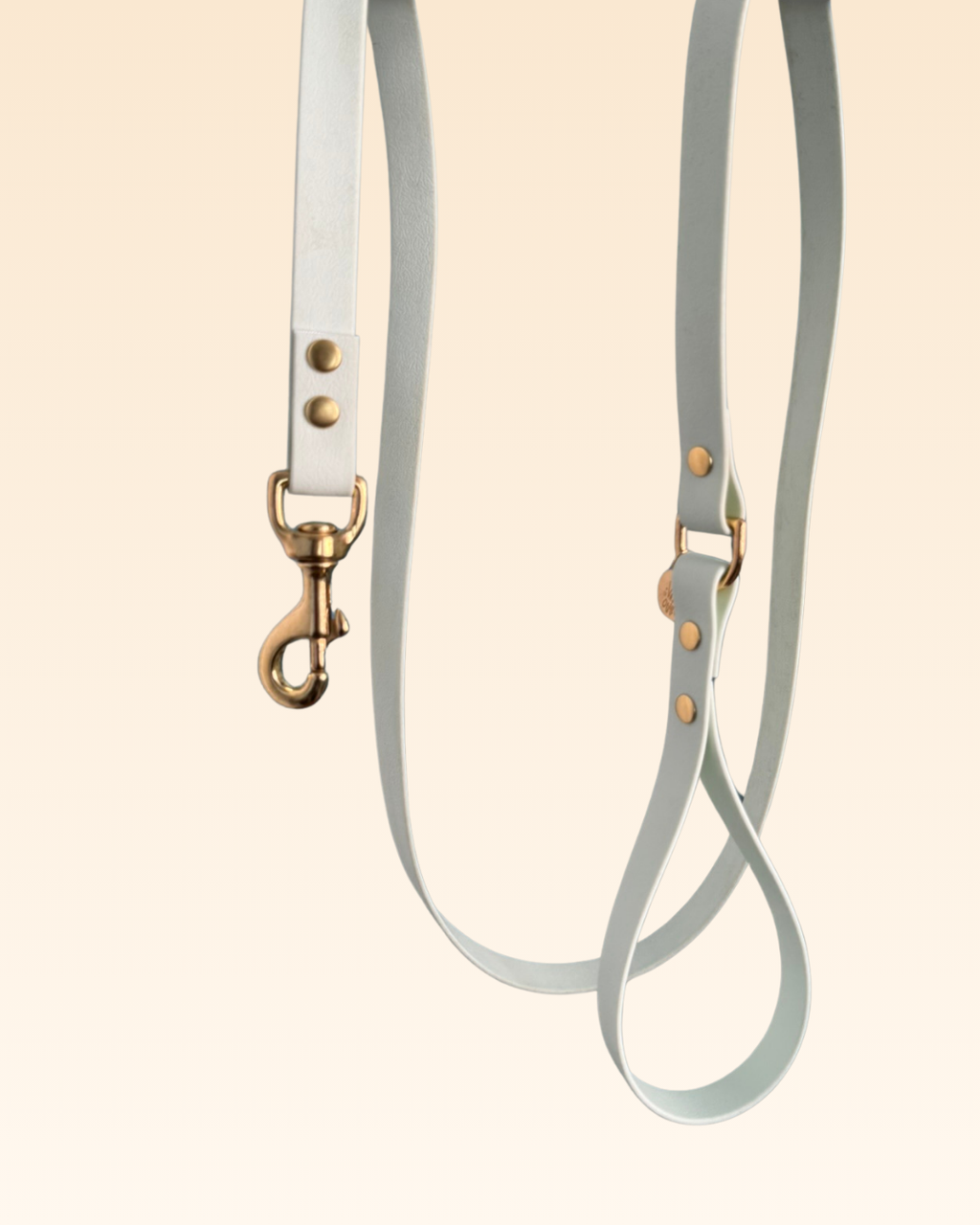 Laisse classique Verveine