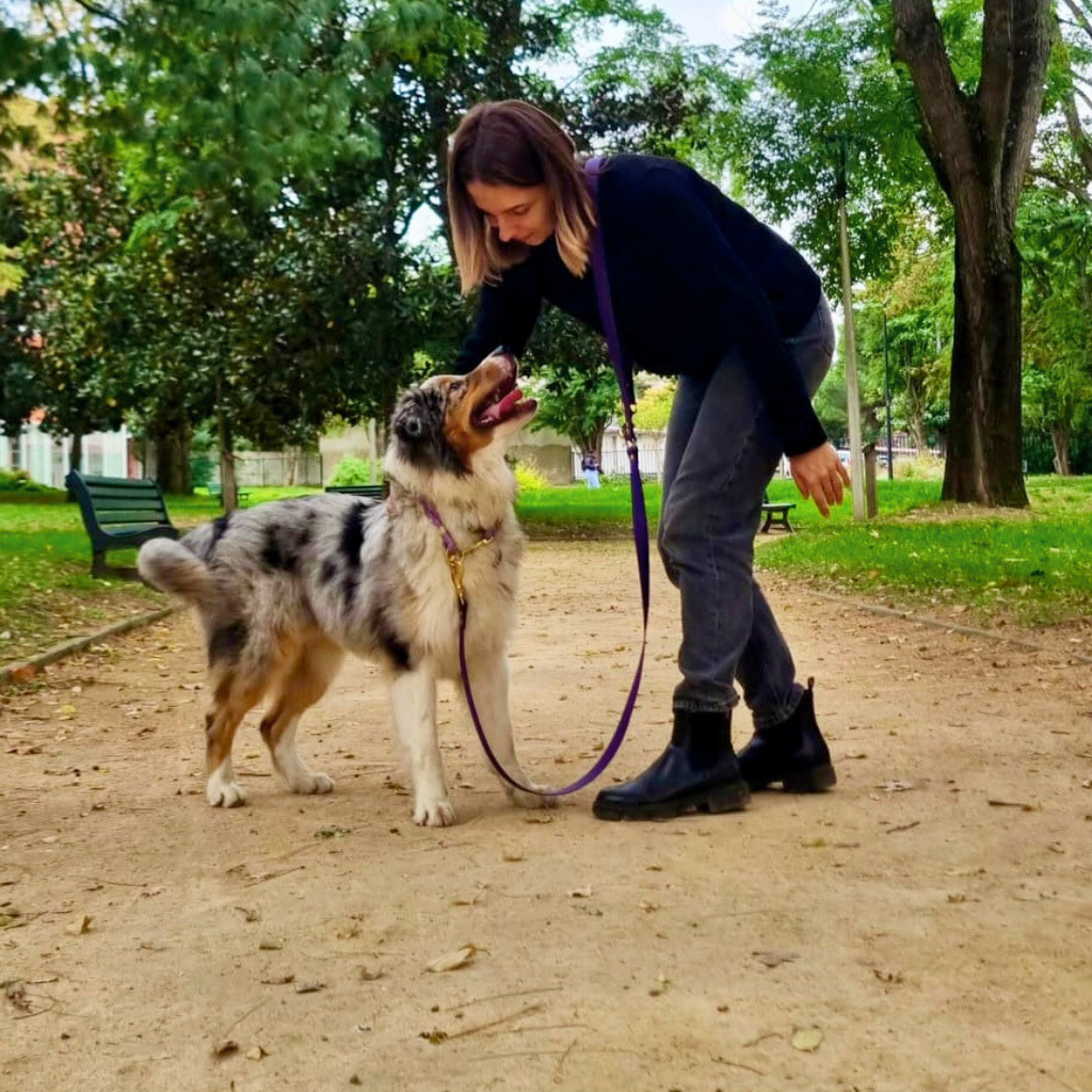 Laisse multi-positions Violette