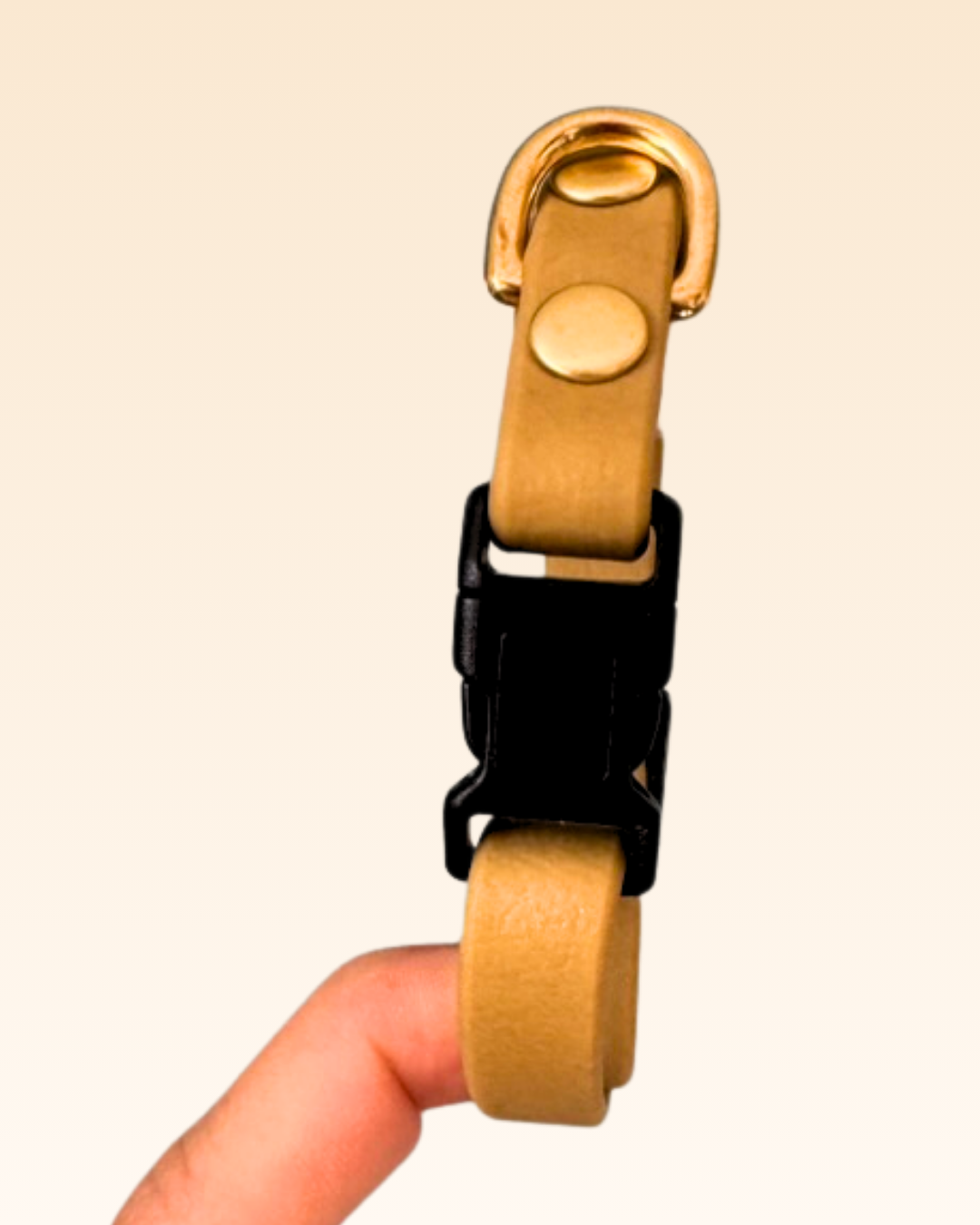 Collier chat Bouton d’Or