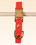 Collier Sunset