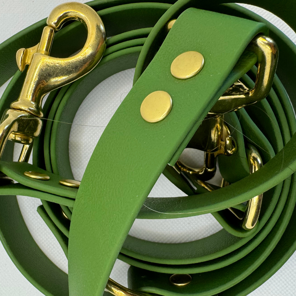 Laisse multi-positions Olive