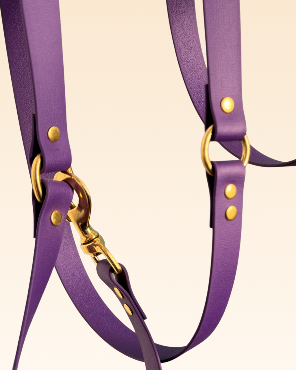 Laisse multi-positions Violette