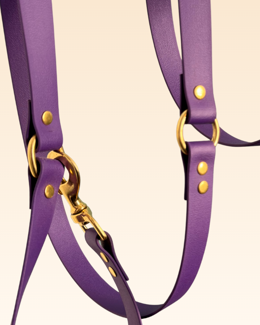 Laisse multi-positions Violette