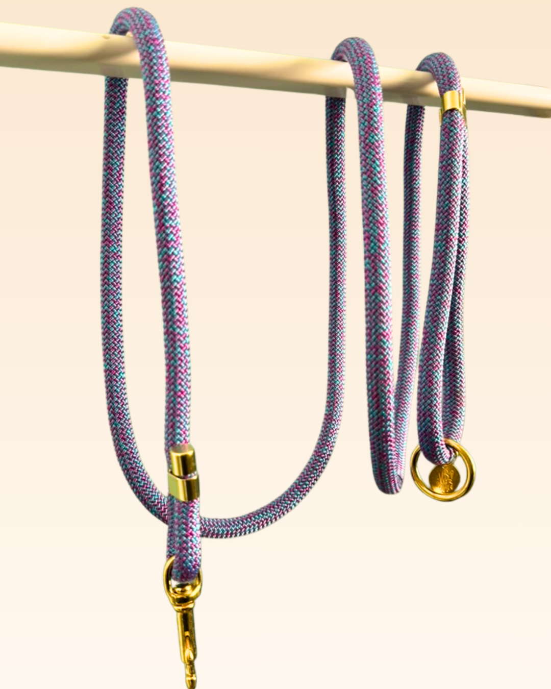 Laisse classique Anémone