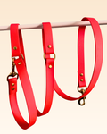 Camellia multi-position leash in PVC webbing