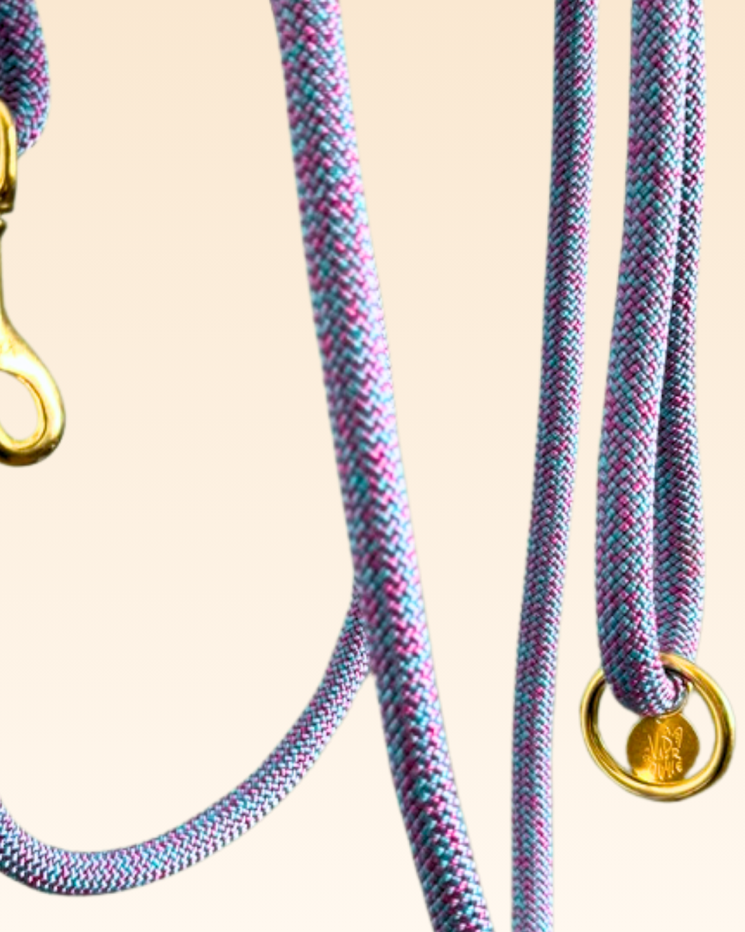 Laisse classique Anémone