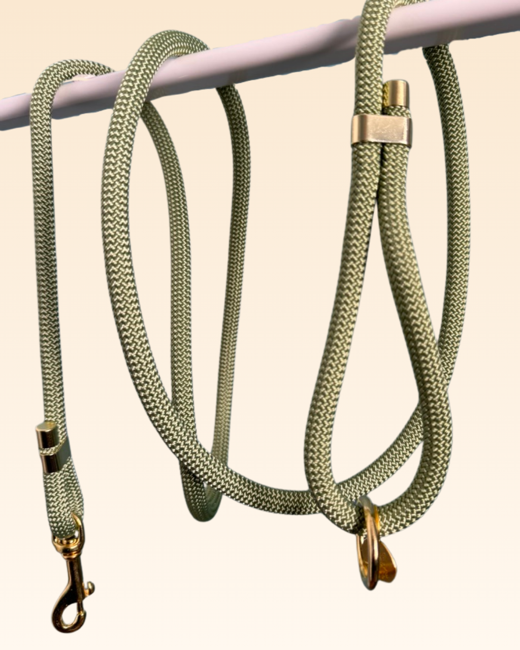 Laisse classique Aloe