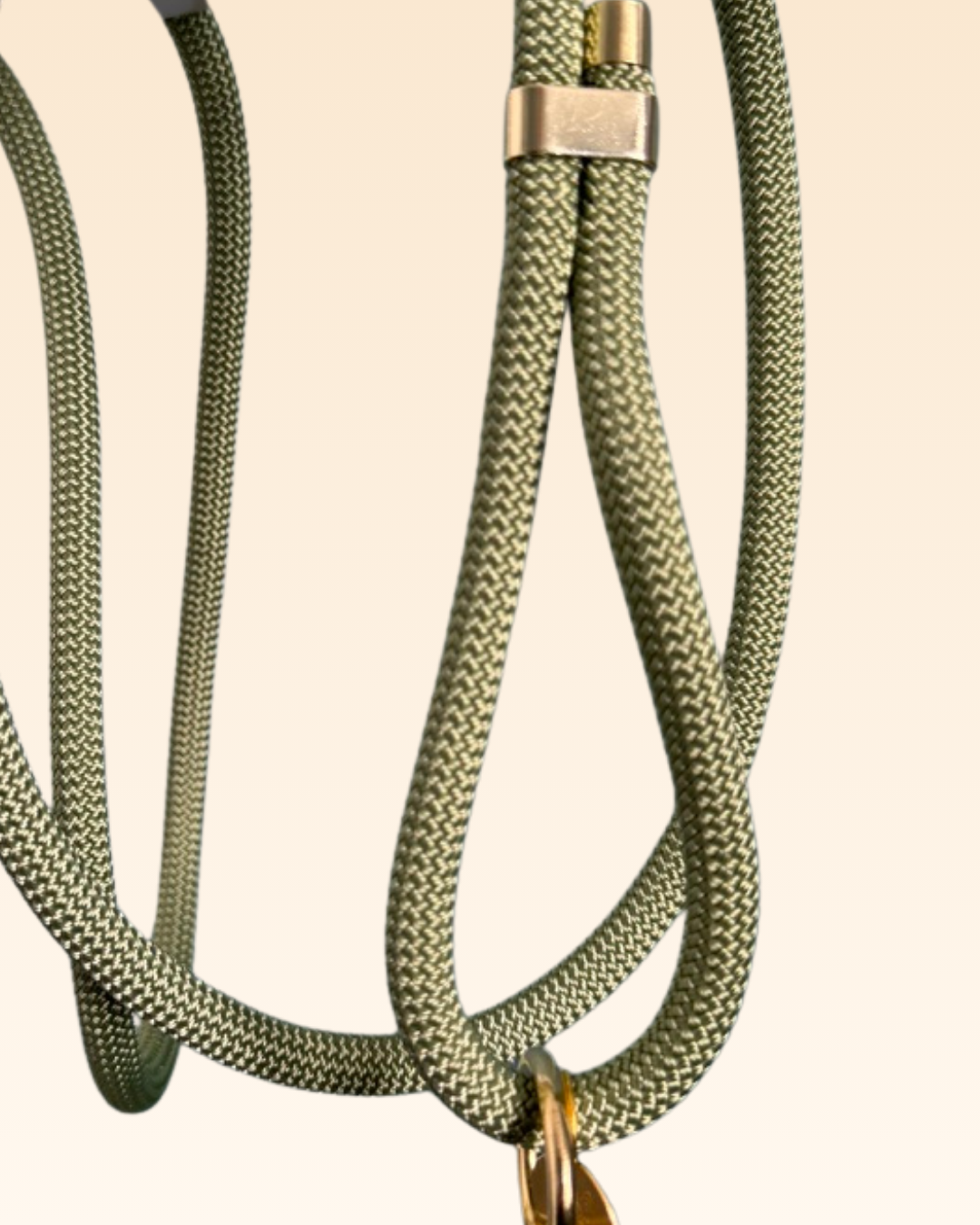 Laisse classique Aloe