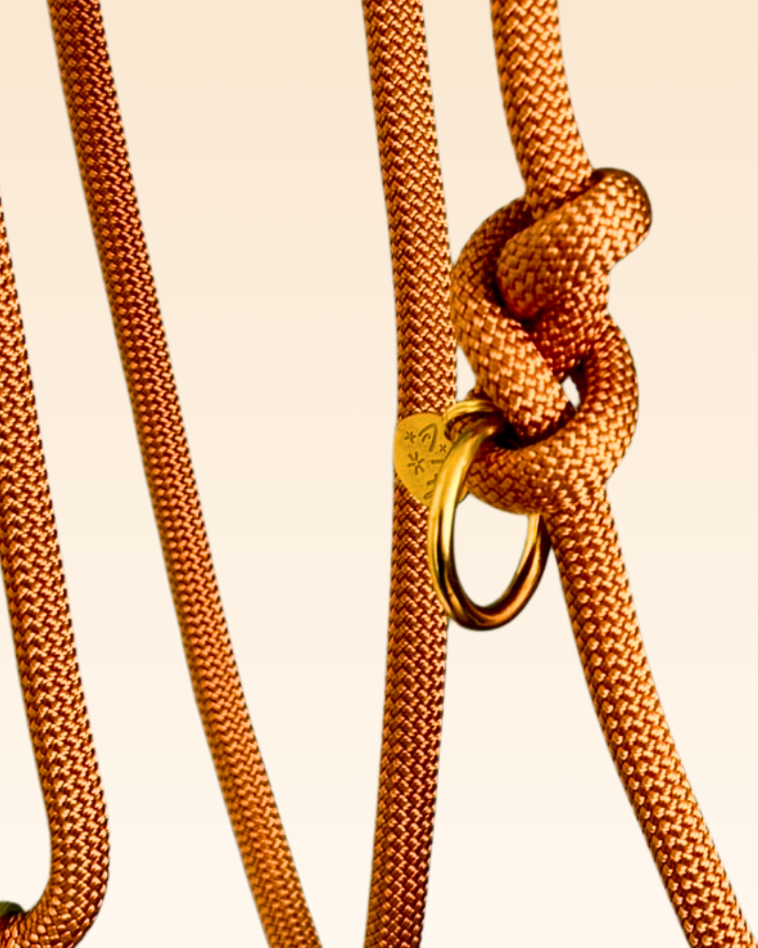 Laisse multi-positions Capucine