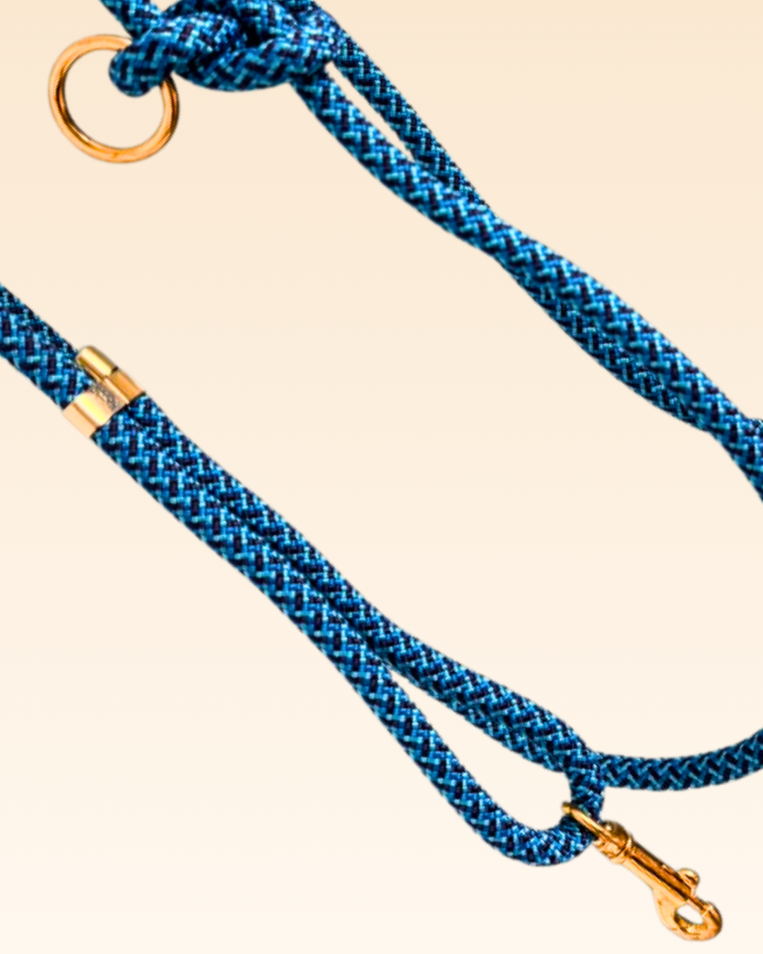 Laisse multi-positions Bleuet